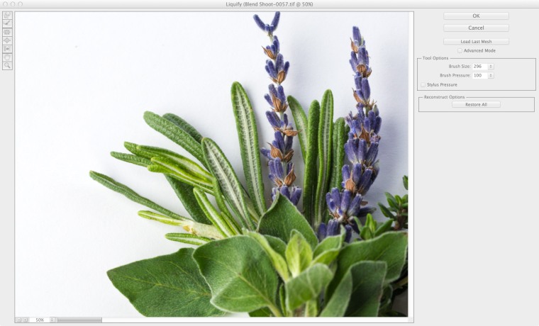 Using liquify to sort out some unruly rosemary in Photoshop.